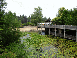 Pond and walkway at the DierenPark Amersfoort zoo