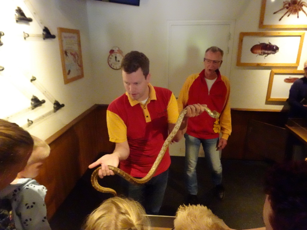 Zookeepers with a snake at the Honderdduizend Dierenhuis building at the DierenPark Amersfoort zoo