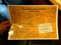 Information on the animal species at the Honderdduizend Dierenhuis building at the DierenPark Amersfoort zoo