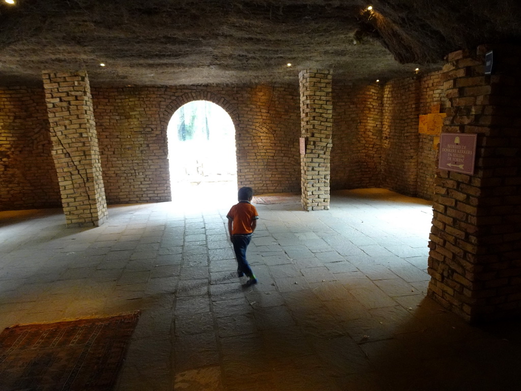 Max in a hallway at the Lion enclosure at the City of Antiquity at the DierenPark Amersfoort zoo