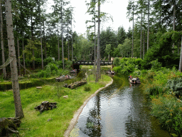 Cycle boats on the Expedition River at the DierenPark Amersfoort zoo, viewed from the bridge to the Monkey Island