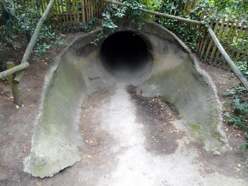 Tunnel at the Bosbeek area at the DierenPark Amersfoort zoo