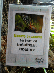 Information on the Crocodile Lizard at the Honderdduizend Dierenhuis building at the DierenPark Amersfoort zoo