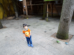 Max with Parakeets at the Parakeet Aviary at the DierenPark Amersfoort zoo