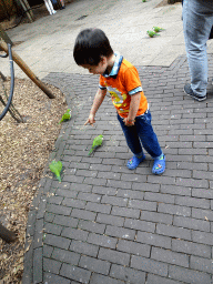 Max with Parakeets at the Parakeet Aviary at the DierenPark Amersfoort zoo