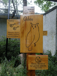 Explanation on the Eurasian Eagle-owl at the DierenPark Amersfoort zoo