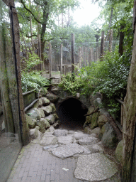 Tunnel under the enclosure of the Spotted Hyenas at the DierenPark Amersfoort zoo