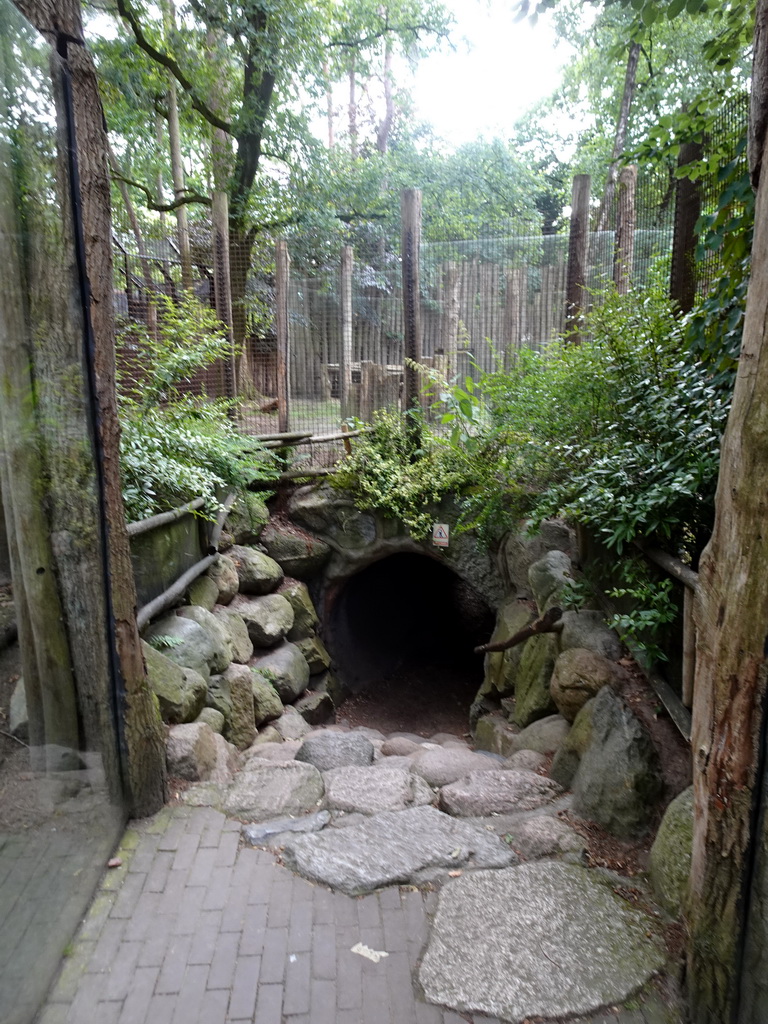 Tunnel under the enclosure of the Spotted Hyenas at the DierenPark Amersfoort zoo