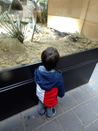 Max with a turtle at the enclosure of the African Penguins at the DierenPark Amersfoort zoo