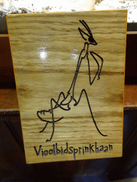 Explanation on the Wandering Violin Mantis at the Honderdduizend Dierenhuis building at the DierenPark Amersfoort zoo