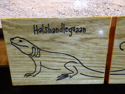 Explanation on the Eastern Collared Lizard at the Honderdduizend Dierenhuis building at the DierenPark Amersfoort zoo