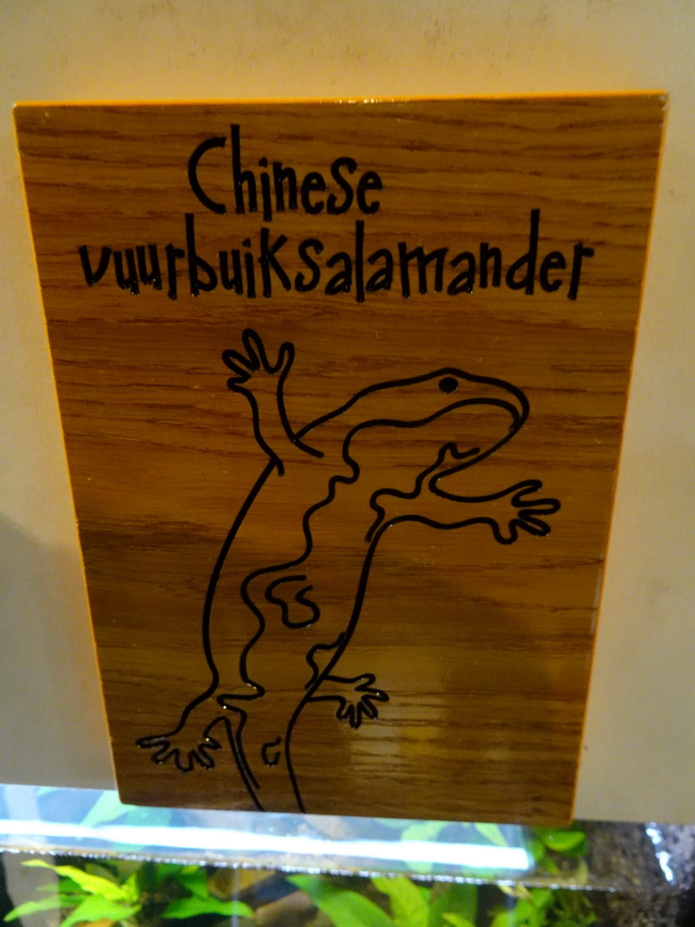 Explanation on the Chinese Fire Belly Newt at the Honderdduizend Dierenhuis building at the DierenPark Amersfoort zoo