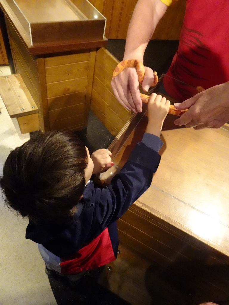 Max touching a snake at the Honderdduizend Dierenhuis building at the DierenPark Amersfoort zoo, with explanation