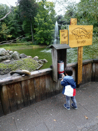 Max getting food for the Koi at the DierenPark Amersfoort zoo