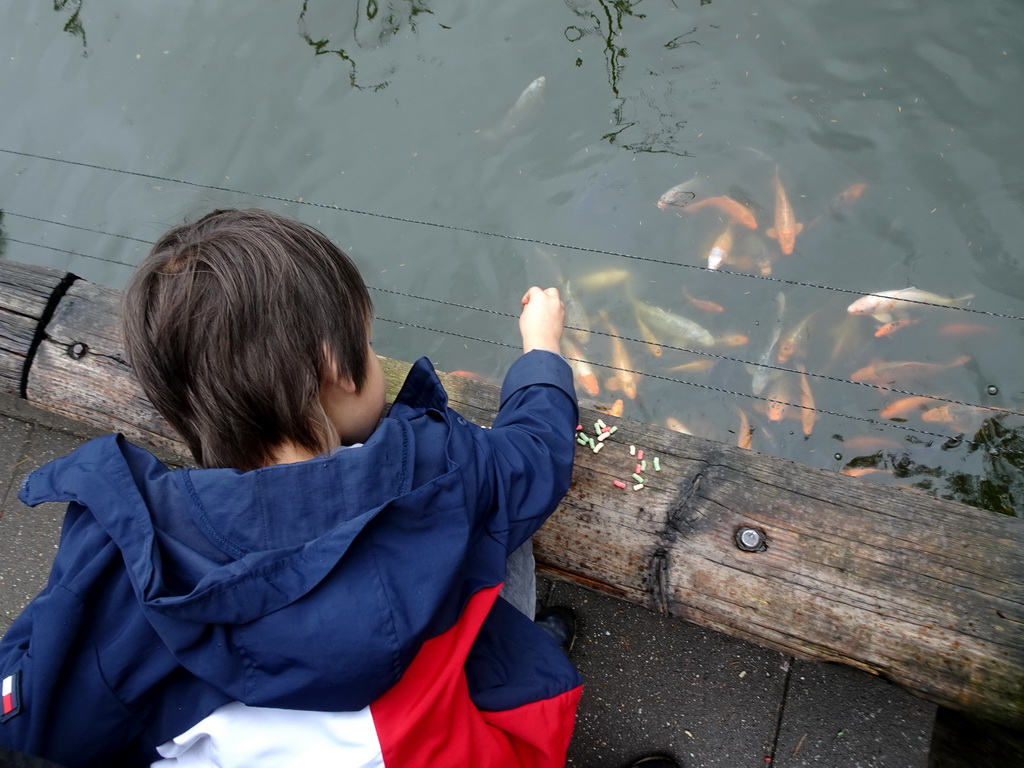 Max feeding the Koi at the DierenPark Amersfoort zoo