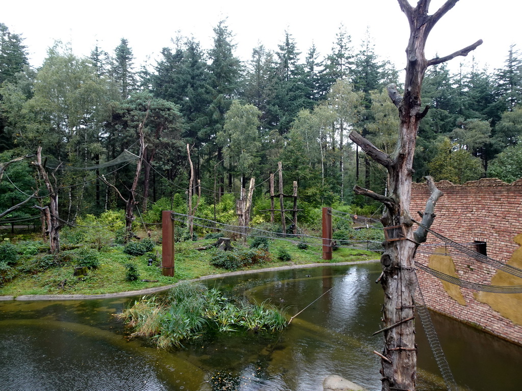 Island with Golden-bellied Capuchins at the DierenPark Amersfoort zoo