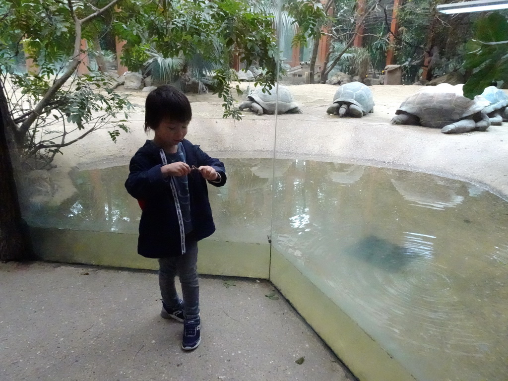 Max with a dinosaur toy and Aldabra Giant Tortoises at the Turtle Building at the DinoPark at the DierenPark Amersfoort zoo