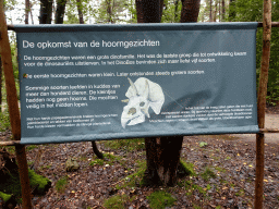 Information on the Ceratopsia at the DinoPark at the DierenPark Amersfoort zoo