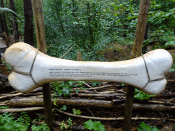 Explanation on the Albertosaurus at the DinoPark at the DierenPark Amersfoort zoo