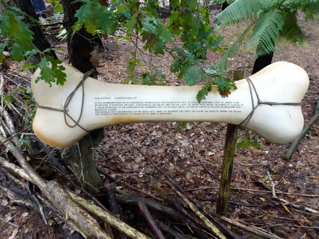 Explanation on the Euoplocephalus at the DinoPark at the DierenPark Amersfoort zoo