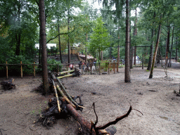 The Ooievaart attraction at the DierenPark Amersfoort zoo