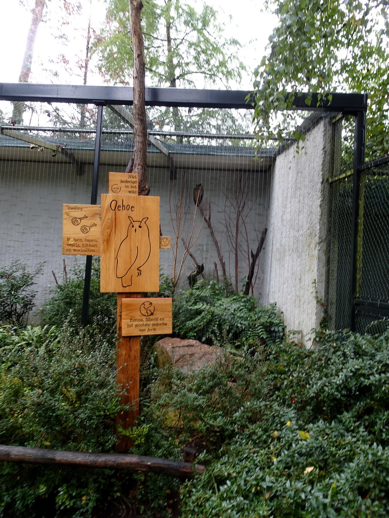 Eurasian Eagle-owl at the DierenPark Amersfoort zoo, with explanation