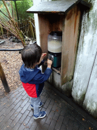 Max getting food for the Parakeets at the Parakeet Aviary at the DierenPark Amersfoort zoo