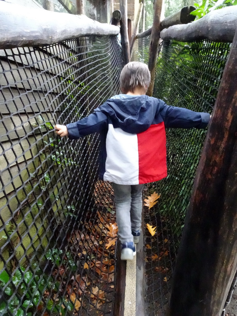 Max on a rope bridge at the Parakeet aviary at the DierenPark Amersfoort zoo