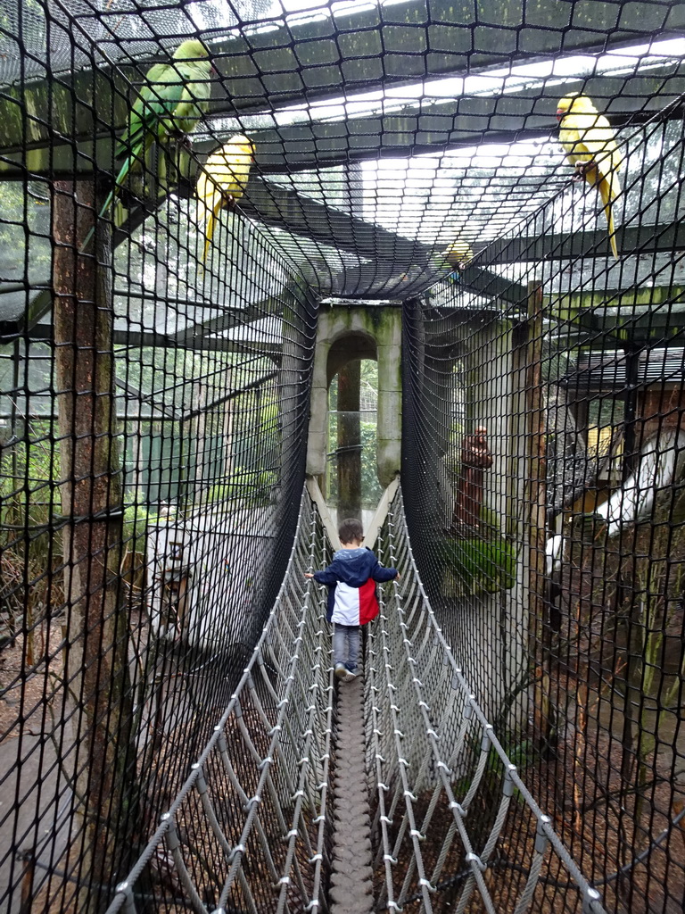 Parakeets and Max on a rope bridge at the Parakeet aviary at the DierenPark Amersfoort zoo