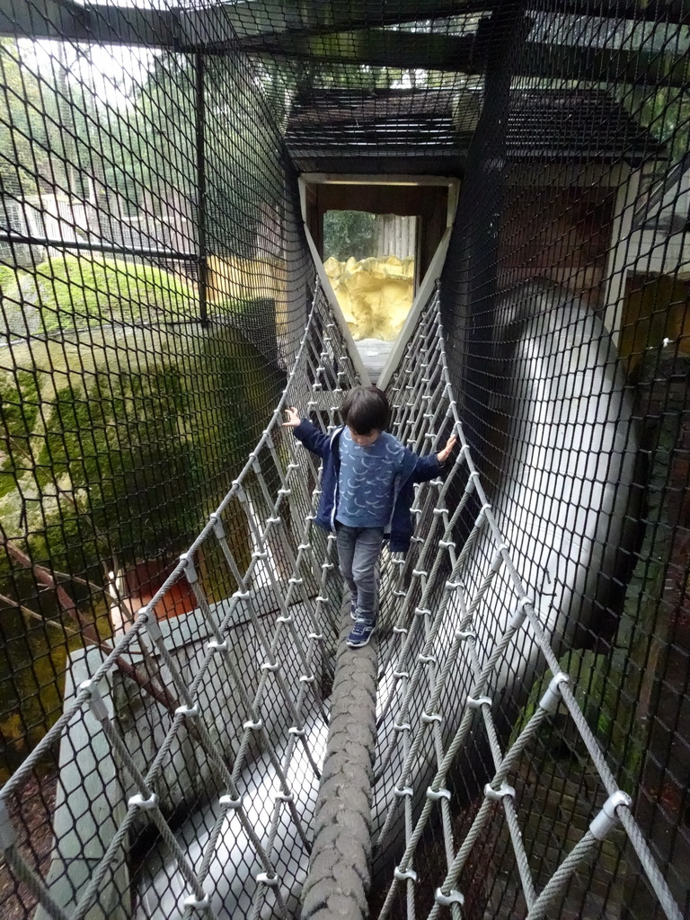 Max on a rope bridge at the Parakeet aviary at the DierenPark Amersfoort zoo