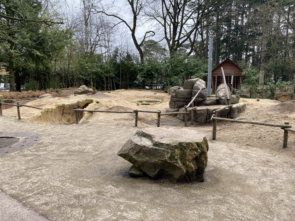 Prairie Dogs at the DierenPark Amersfoort zoo