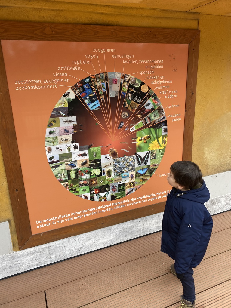 Information on the animal species at the Honderdduizend Dierenhuis building at the DierenPark Amersfoort zoo