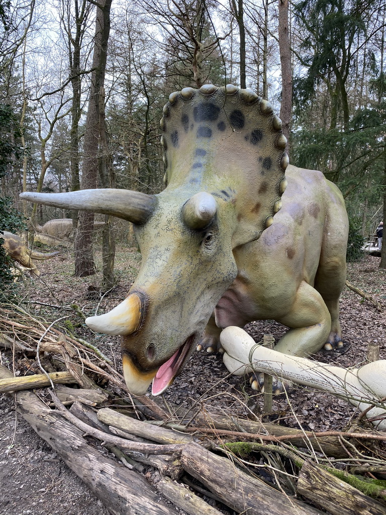 Triceratops statue at the DinoPark at the DierenPark Amersfoort zoo, with explanation