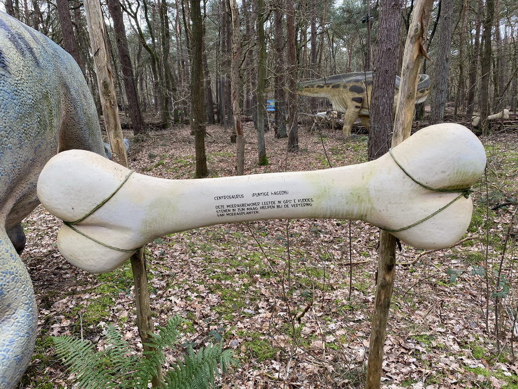 Explanation on the Centrosaurus at the DinoPark at the DierenPark Amersfoort zoo