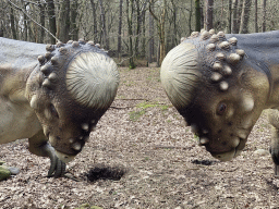 Heads of Pachycephalosaurus statues at the DinoPark at the DierenPark Amersfoort zoo