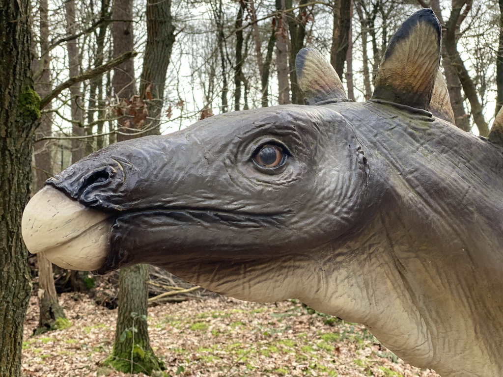 Head of a Stegosaurus statue at the DinoPark at the DierenPark Amersfoort zoo