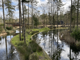The Expedition River and the island with Ring-tailed Lemurs at the DierenPark Amersfoort zoo, viewed from the bridge