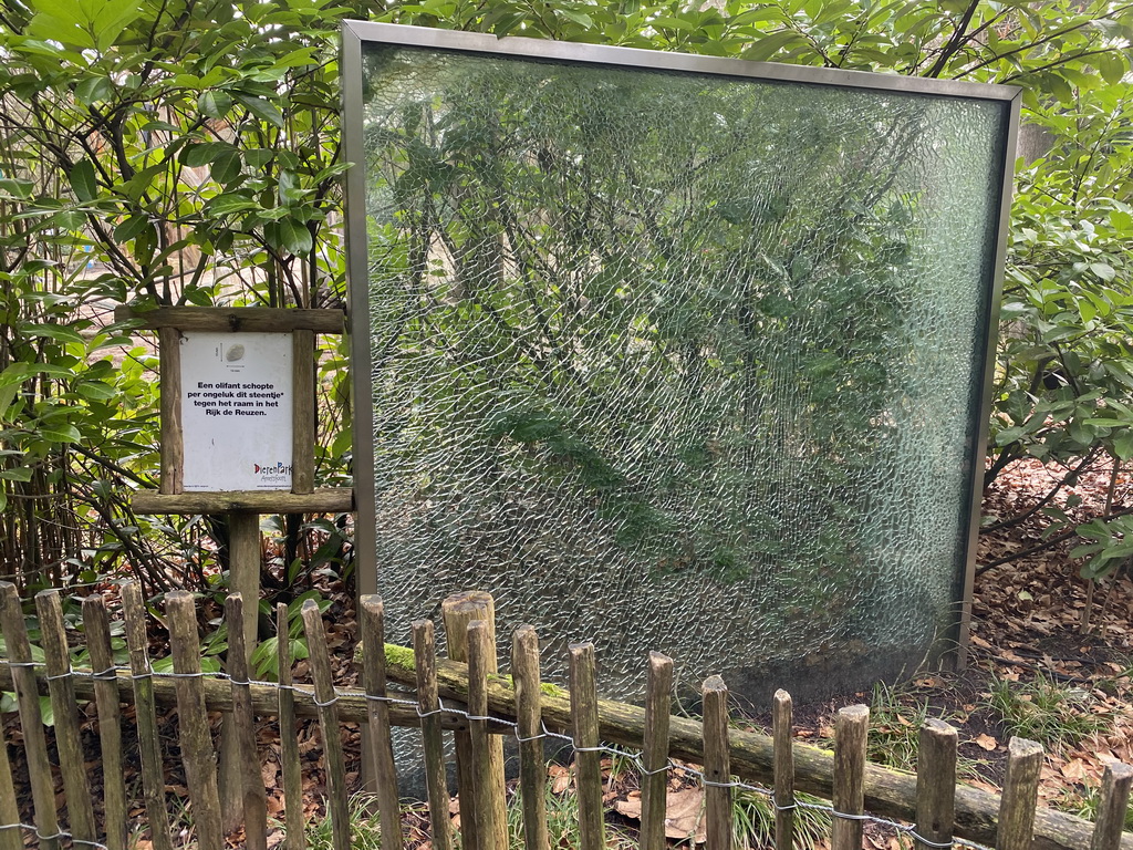 Window broken by an Asian Elephant at the DierenPark Amersfoort zoo