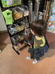 Max with toys at the Jungleshop at the DierenPark Amersfoort zoo