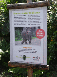 Information on vaccination of Elephants at the DierenPark Amersfoort zoo