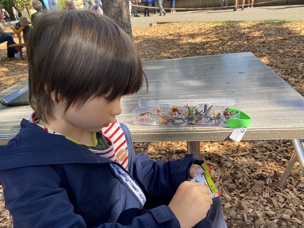 Max with toys at the Fonteinplein square at the DierenPark Amersfoort zoo