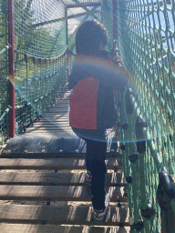 Max on a rope bridge at the playground near the Restaurant Buitenplaats at the DierenPark Amersfoort zoo