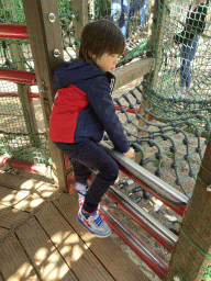 Max on a rope bridge at the playground near the Restaurant Buitenplaats at the DierenPark Amersfoort zoo