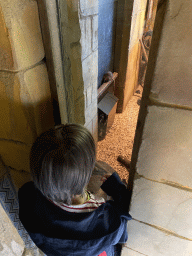 Max with a Rat at the City of Antiquity at the DierenPark Amersfoort zoo