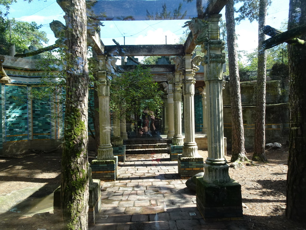 Columns at the City of Antiquity at the DierenPark Amersfoort zoo, viewed from the Palace of King Darius