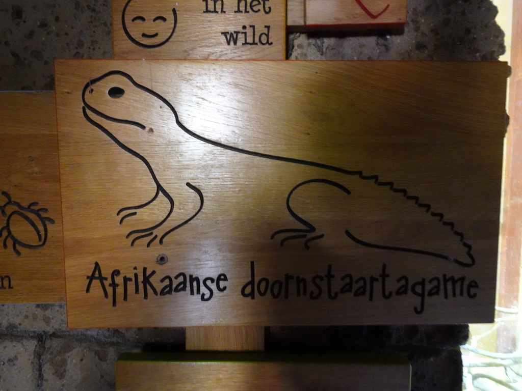 Explanation on the Bell`s Dabb Lizard at the City of Antiquity at the DierenPark Amersfoort zoo