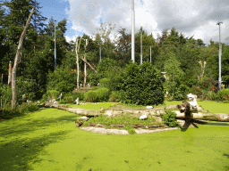 Pond with Pelicans and Marabou Storks at the Snavelrijk aviary at the DierenPark Amersfoort zoo