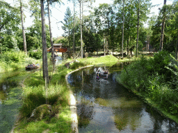 Cycle boats on the Expedition River and the island with Golden-bellied Capuchins at the DierenPark Amersfoort zoo, viewed from the Bailey Bridge