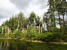 Island with Golden-bellied Capuchins at the DierenPark Amersfoort zoo, viewed from the cycle boat on the Expedition River