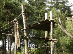 Island with Golden-bellied Capuchins at the DierenPark Amersfoort zoo, viewed from the cycle boat on the Expedition River